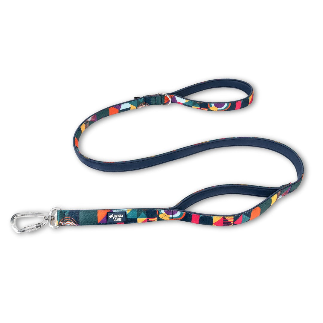 Twiggy Tags Adventure Close Control Lead 2.0 - Aurora