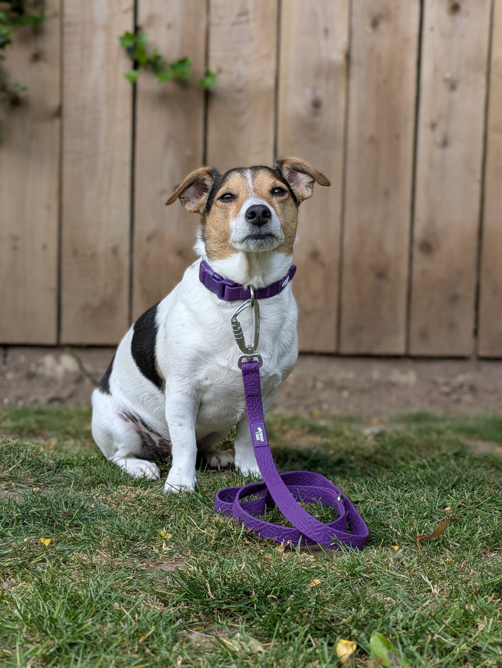 Twiggy Tags Tidal Waterproof Leads - Amethyst