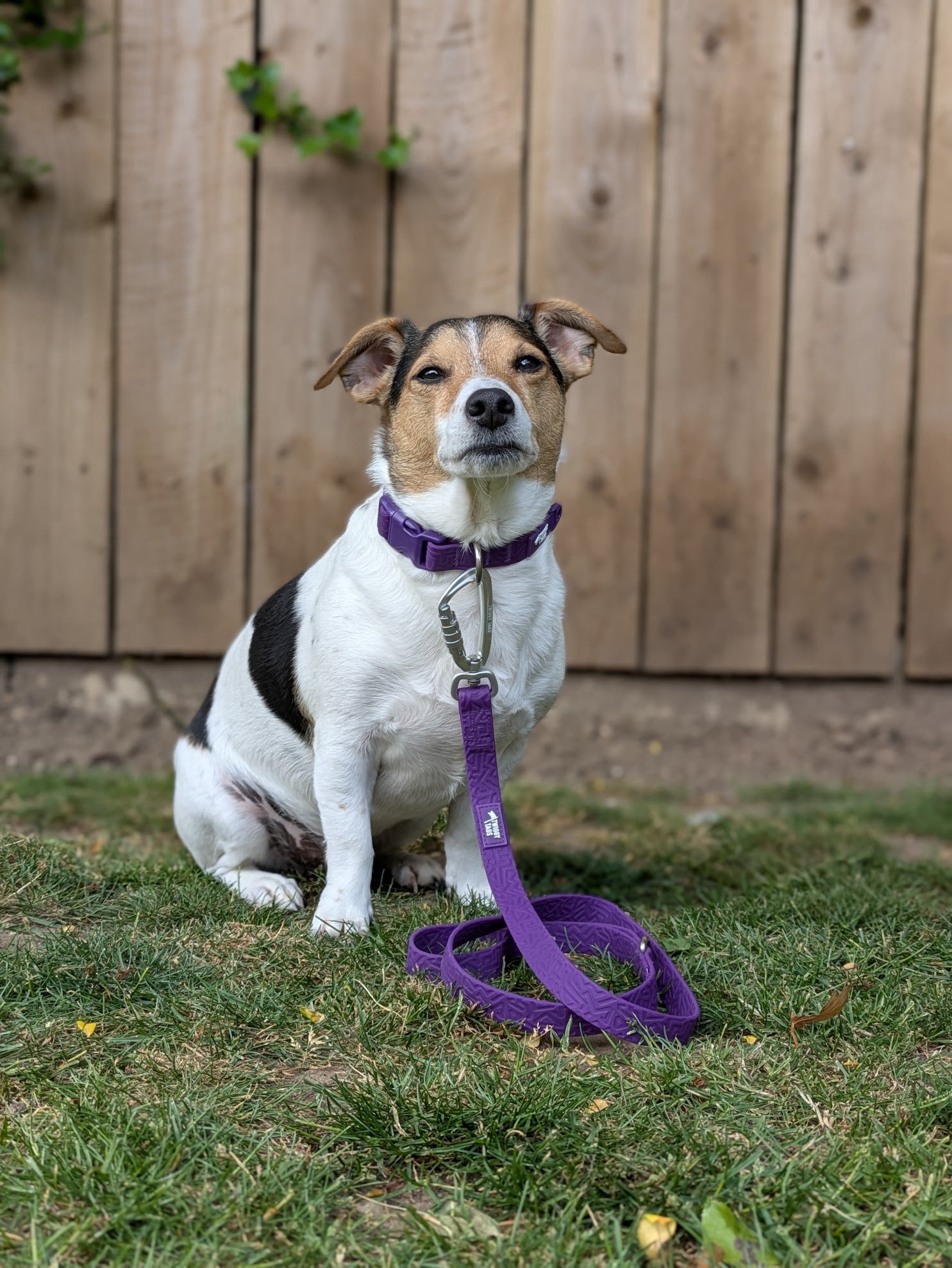 Twiggy Tags Tidal Waterproof Leads - Amethyst