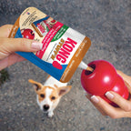 KONG Stuff'N Peanut Butter 170g