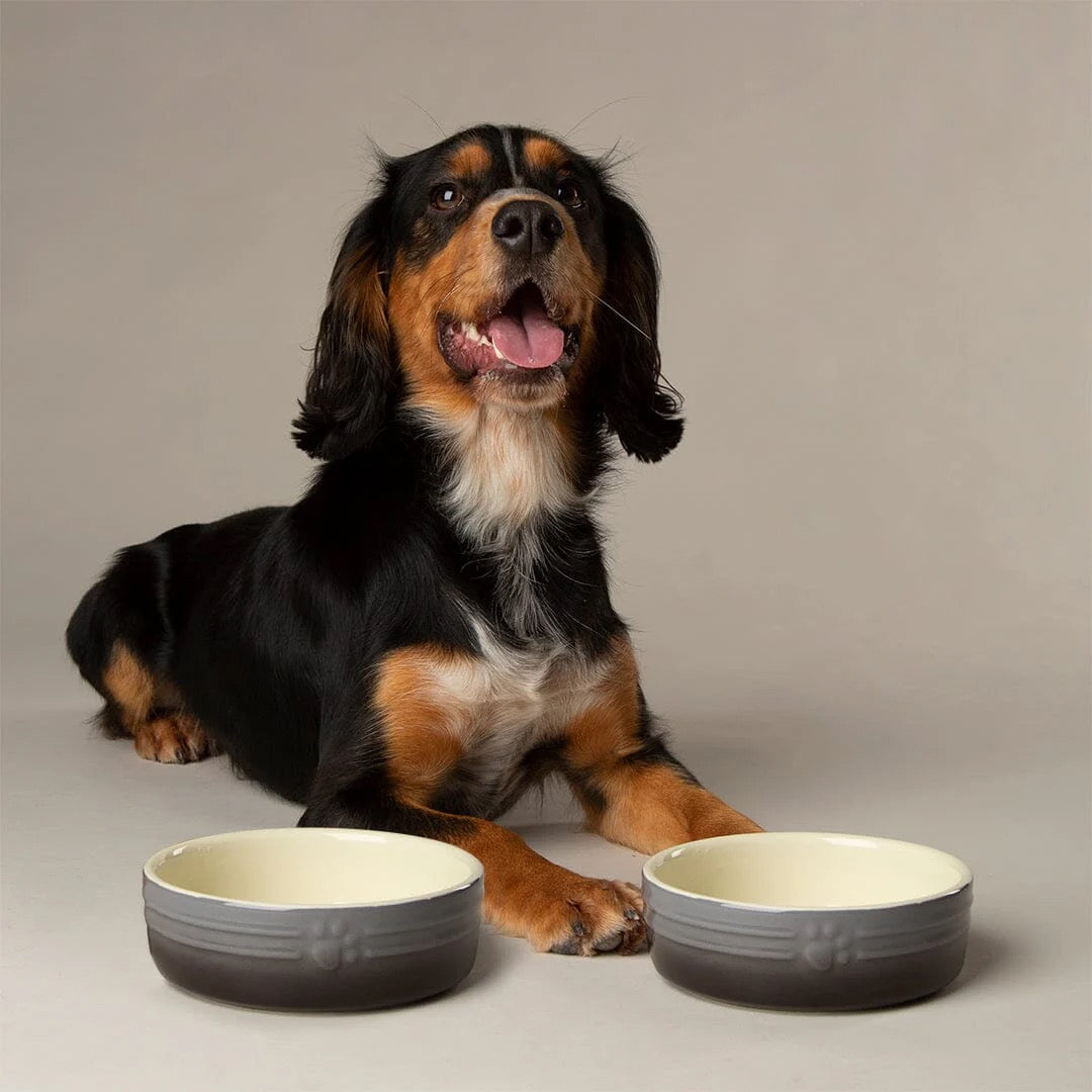 Scruffs Ombre Grey Dog Bowl 19cm