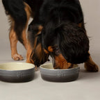 Scruffs Ombre Grey Dog Bowl 19cm