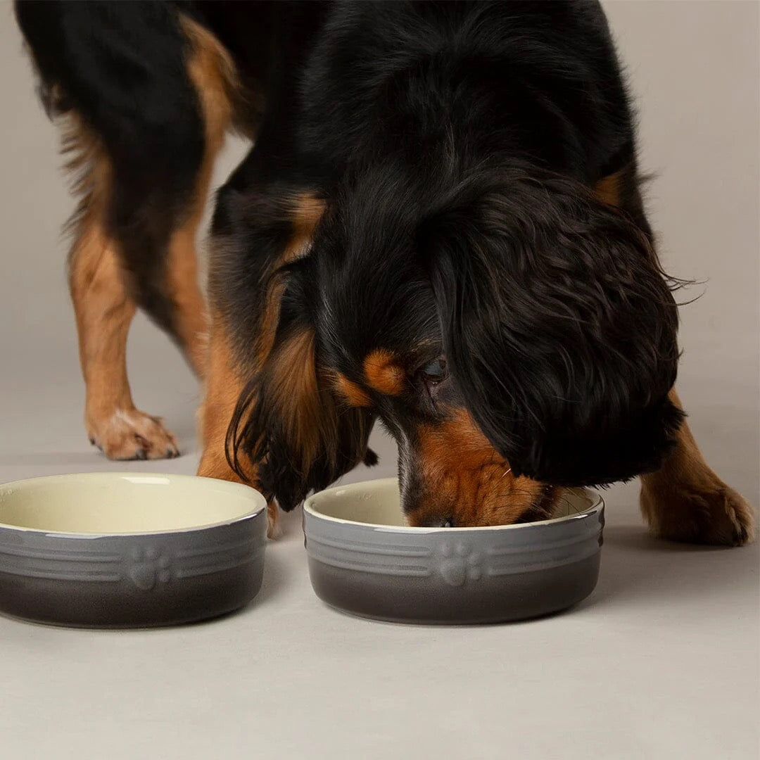 Scruffs Ombre Grey Dog Bowl 19cm