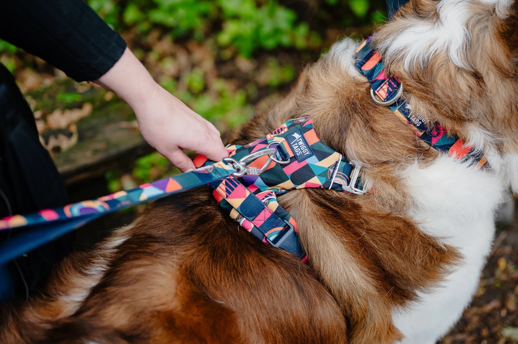 Twiggy Tags Adventure Close Control Lead 2.0 - Aurora