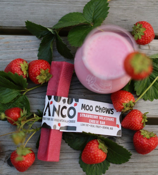Moo Chew: Low-Fat, High-Protein Dental Aid for Dogs