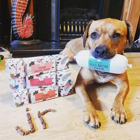 JR Pure Dog Paté Crackers