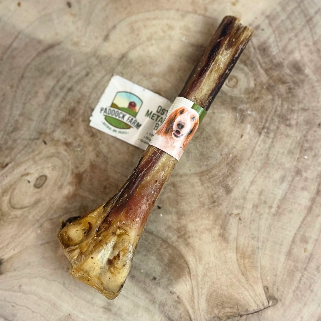 Ostrich Metatarsus Bone for Dogs
