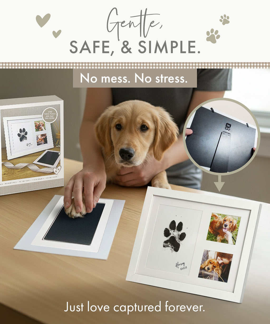 Oh So Precious Paw Print Ink Keepsake Photo Frame Kit