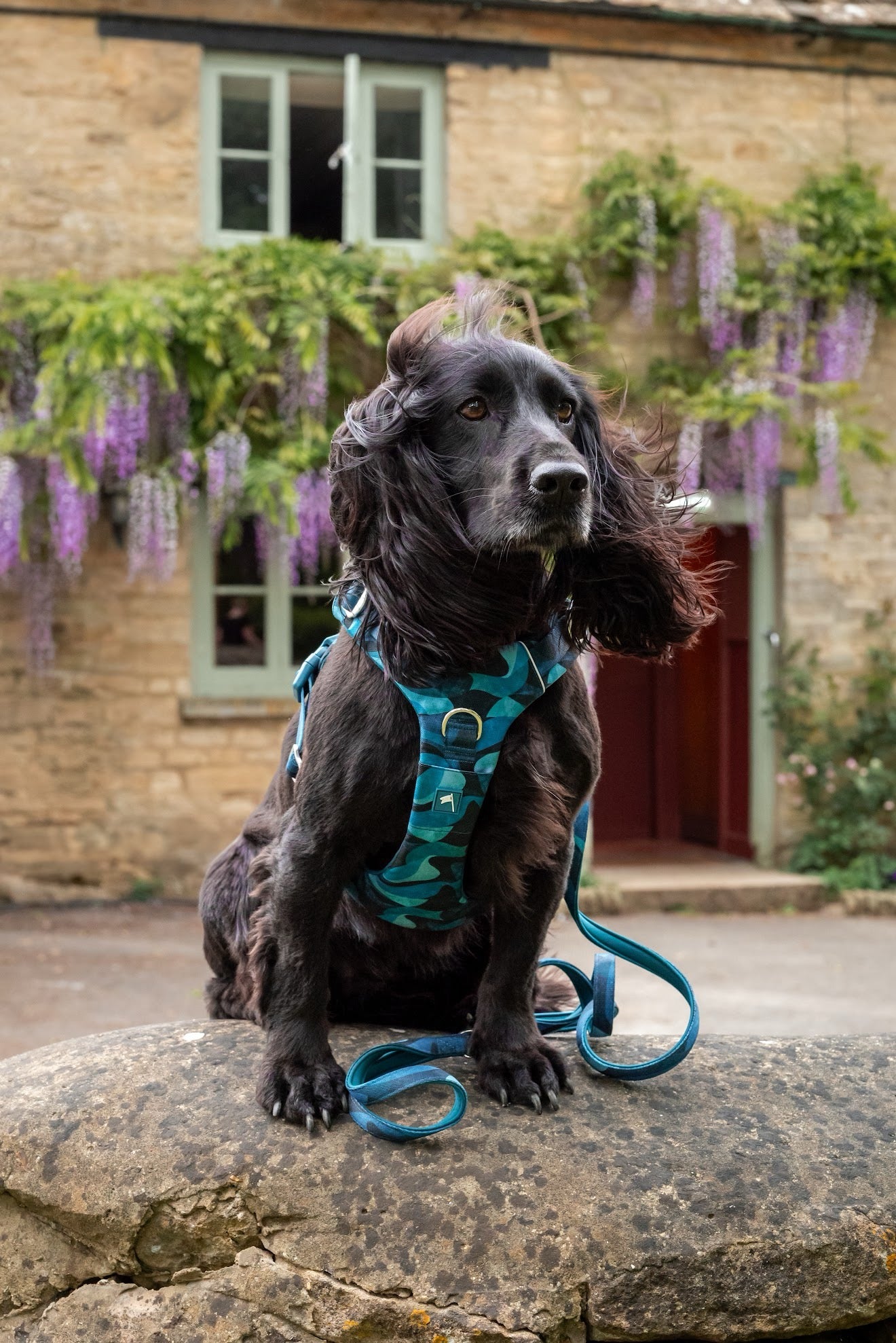 Twiggy Tags Adventure Small Lead 2.0 - Lagoon