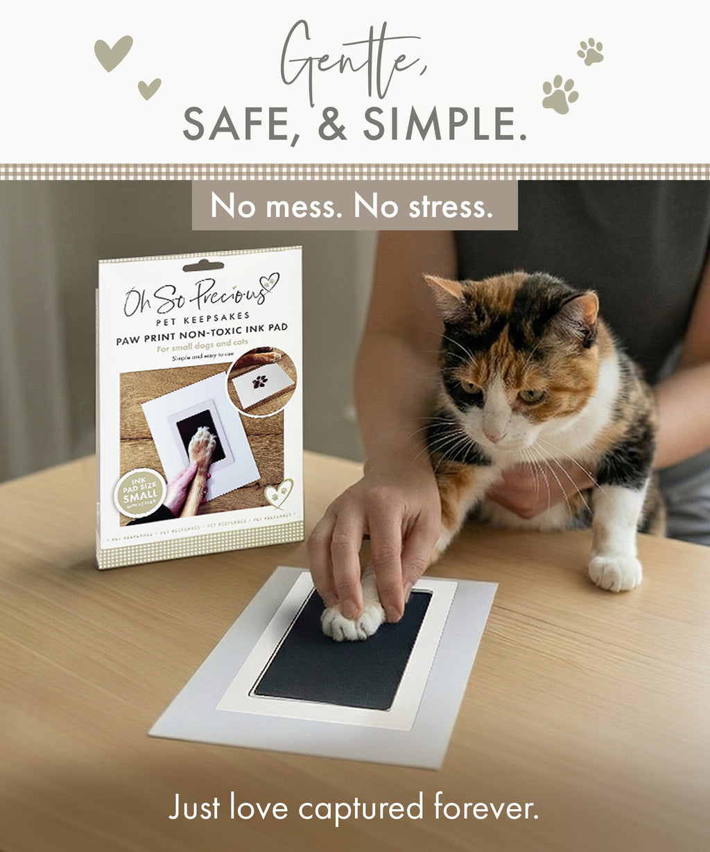 Oh So Precious Pet Safe Non-toxic Paw Print Ink Pad Kit