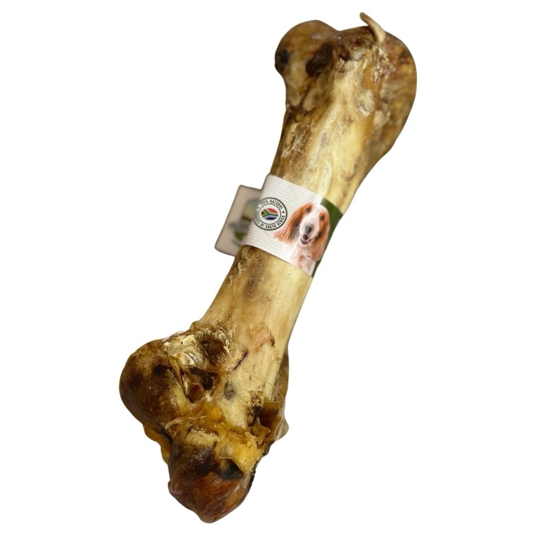 Ostrich Dino Bone For Dogs