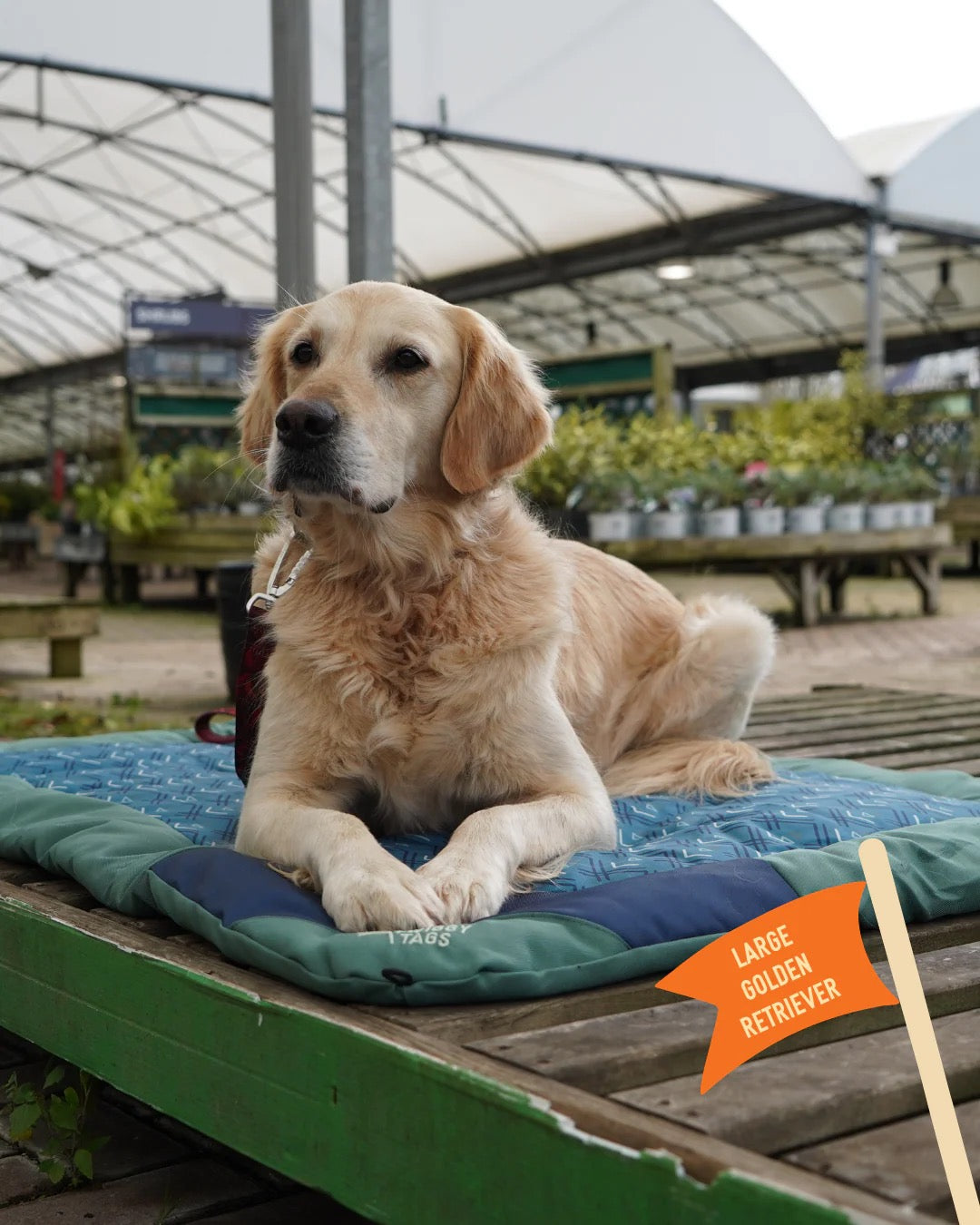 Twiggy Tags Crosslander™ Travel Bed - Atlantis