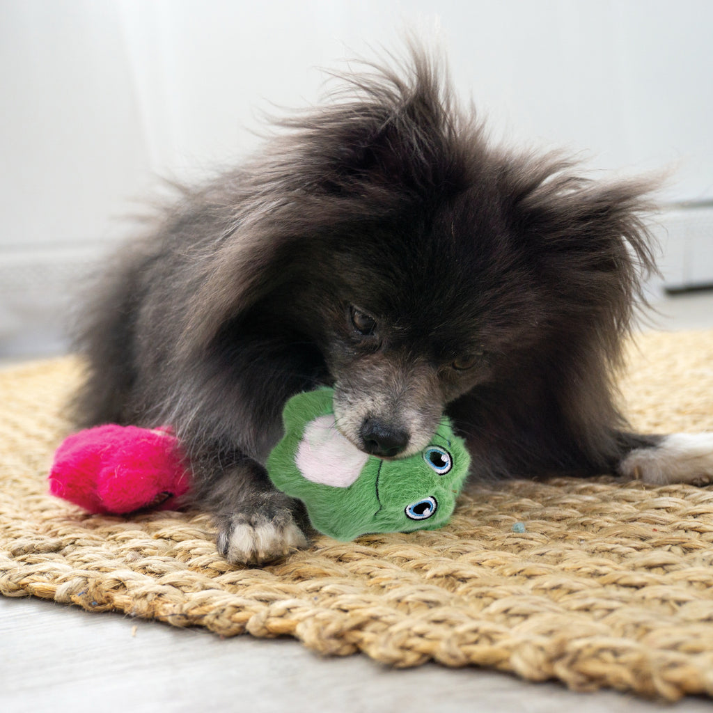 KONG Snuzzles Mini Frog XS