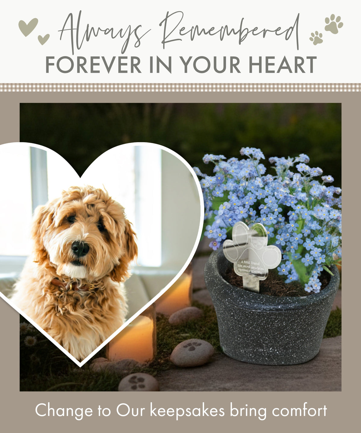Oh So Precious Paw Print Memorial Garden Plant Marker & Forget Me Not Seeds