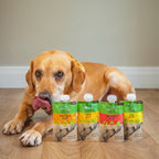 Natures Deli Paste Pouches 100g - Various Flavours - Treat for Dogs