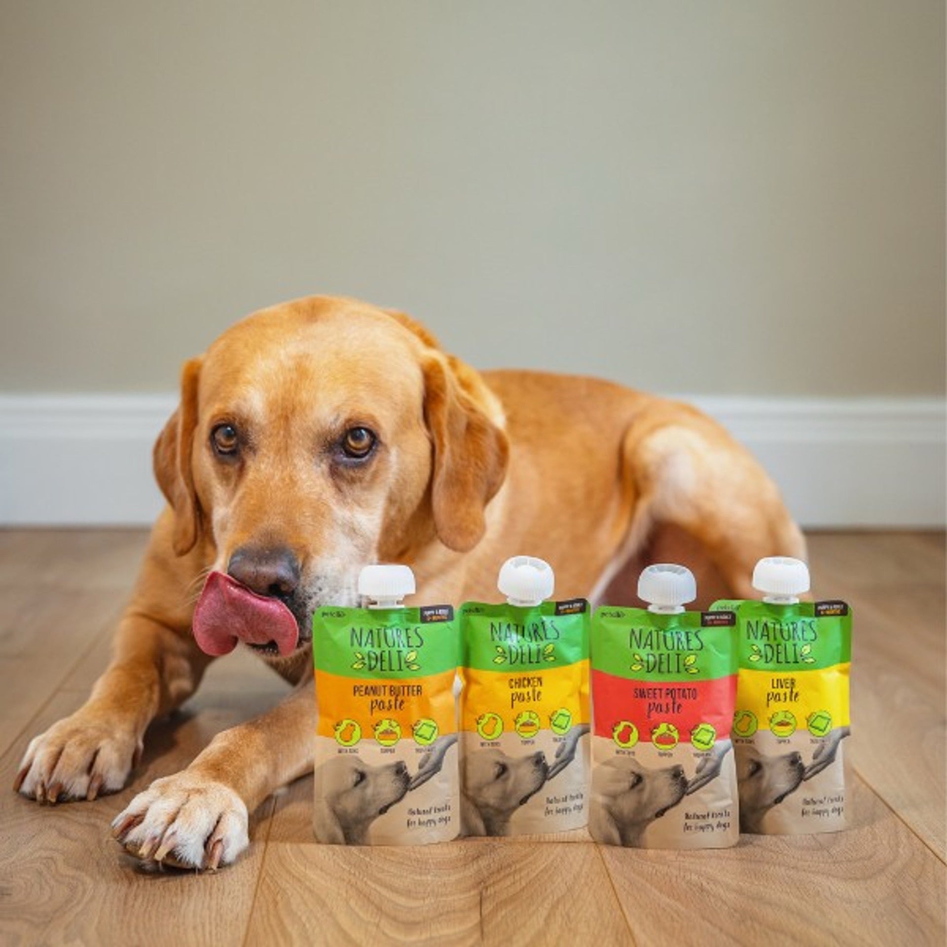 Natures Deli Paste Pouches 100g - Various Flavours - Treat for Dogs