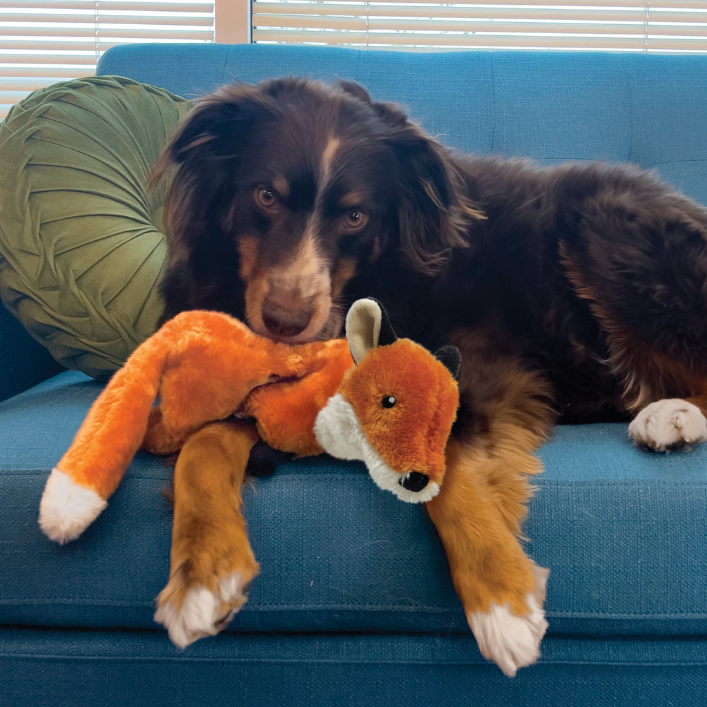 KONG Wild Low Stuff Fox Md