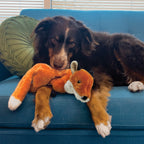 KONG Wild Low Stuff Fox Md