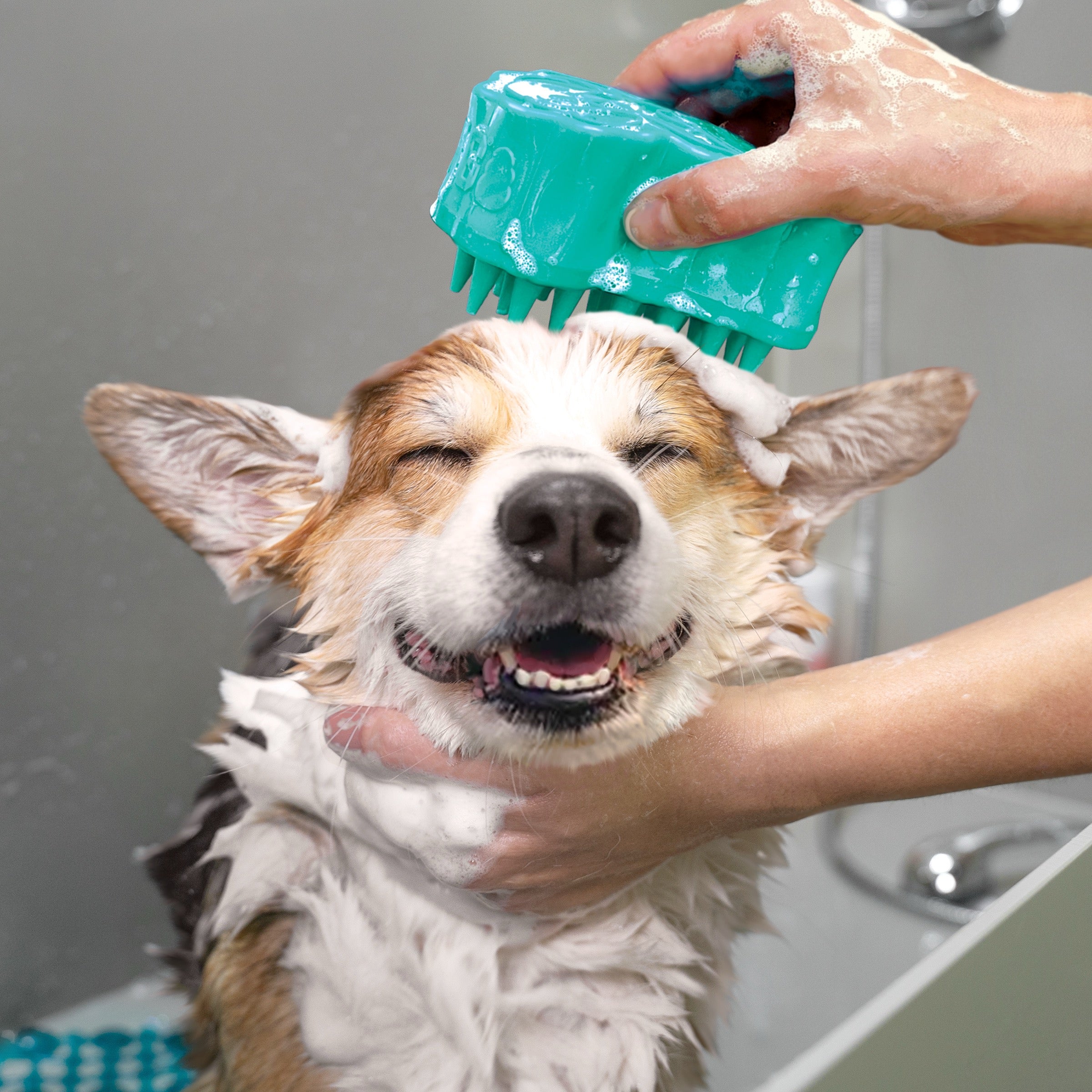 KONG ZoomGroom Bubbles Large