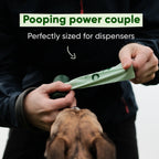 Beco Mint Scented Recycled Poop Bags x60 Pack