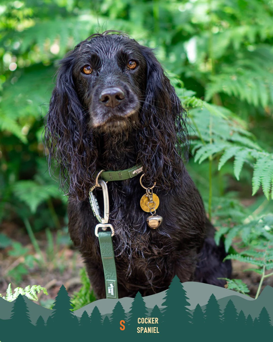 Twiggy Tags Tidal Waterproof Collar Fern
