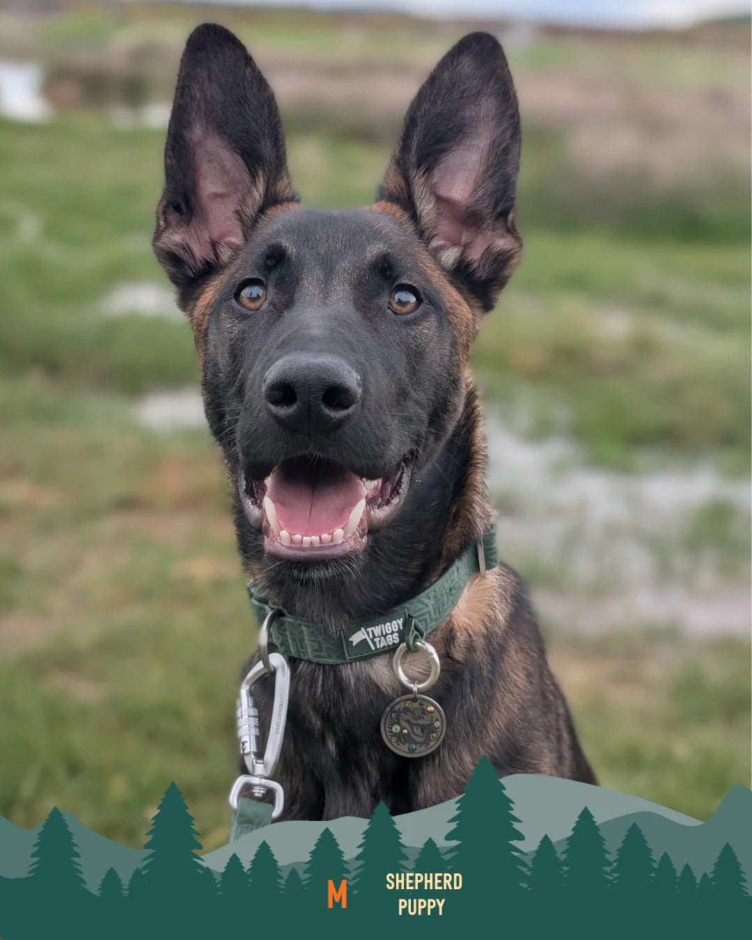 Twiggy Tags Tidal Waterproof Collar Fern