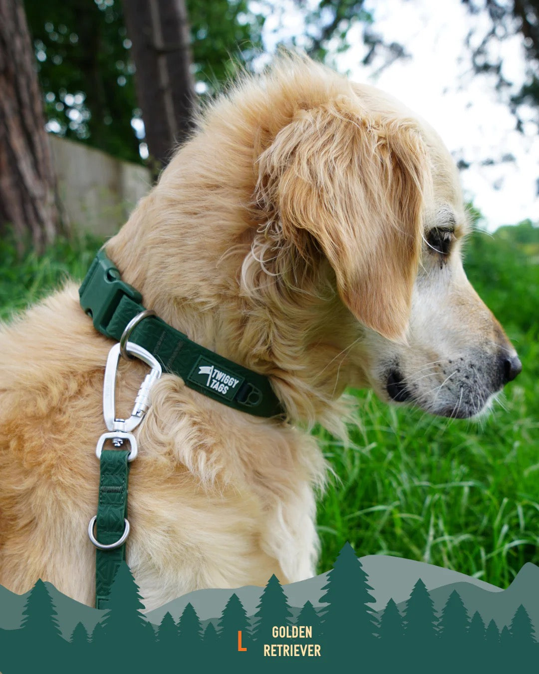 Twiggy Tags Tidal Waterproof Collar Fern