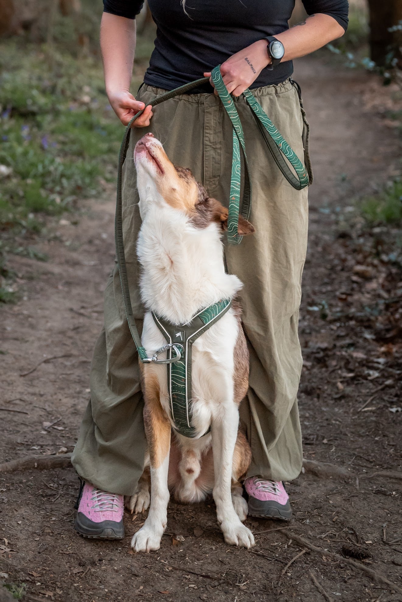 Twiggy Tags Apex® Harness - Nomad