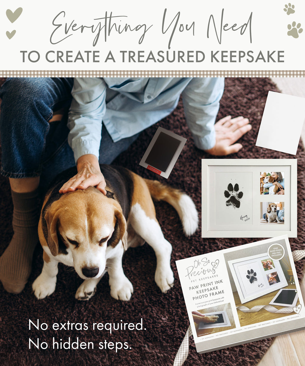 Oh So Precious Paw Print Ink Keepsake Photo Frame Kit