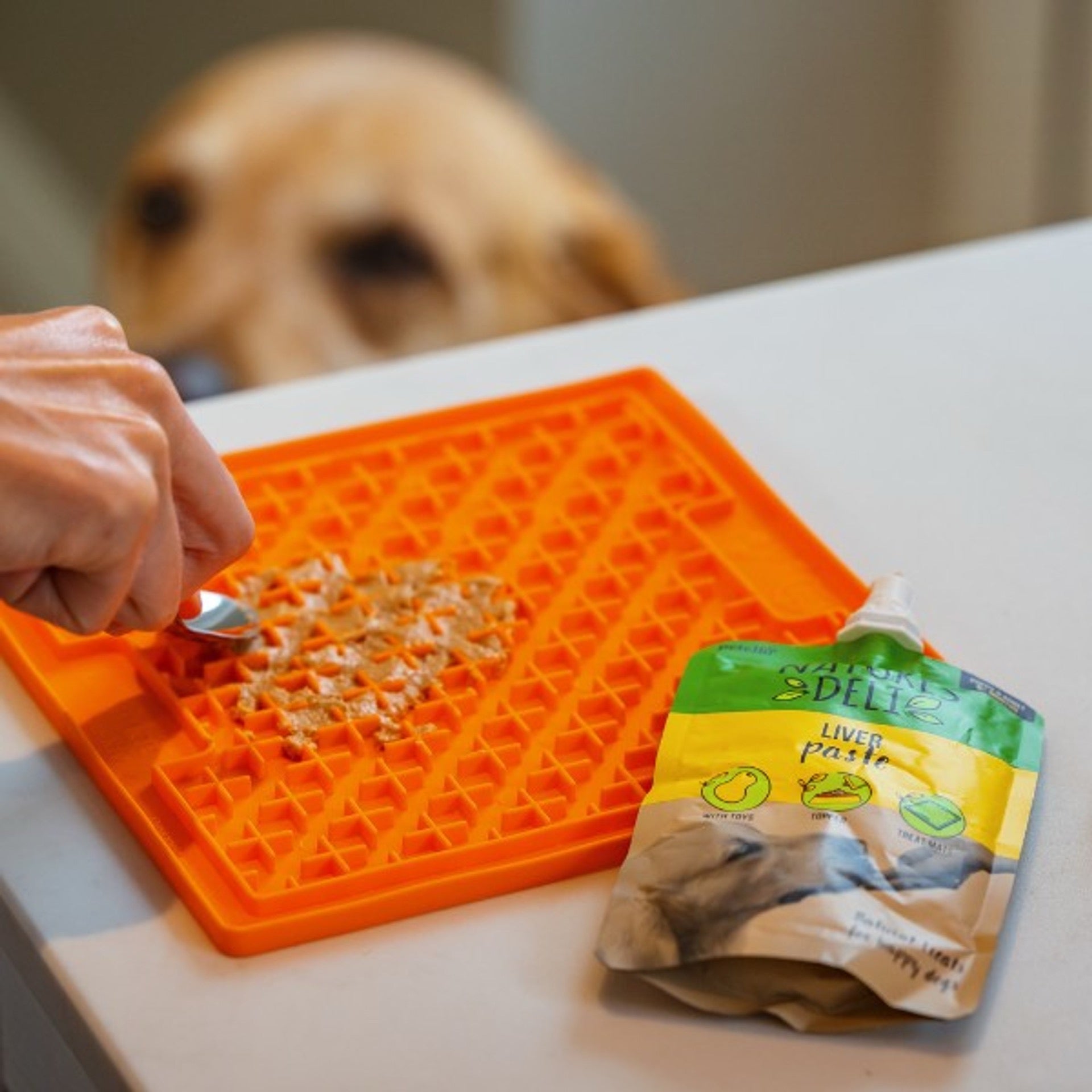 Natures Deli Paste Pouches 100g - Various Flavours - Treat for Dogs