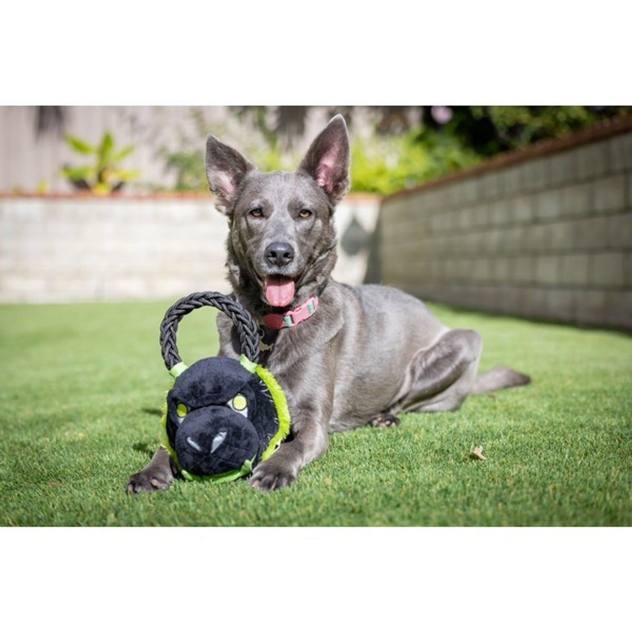 Hyper Pet Kettlebellz Gorilla Dog Toy
