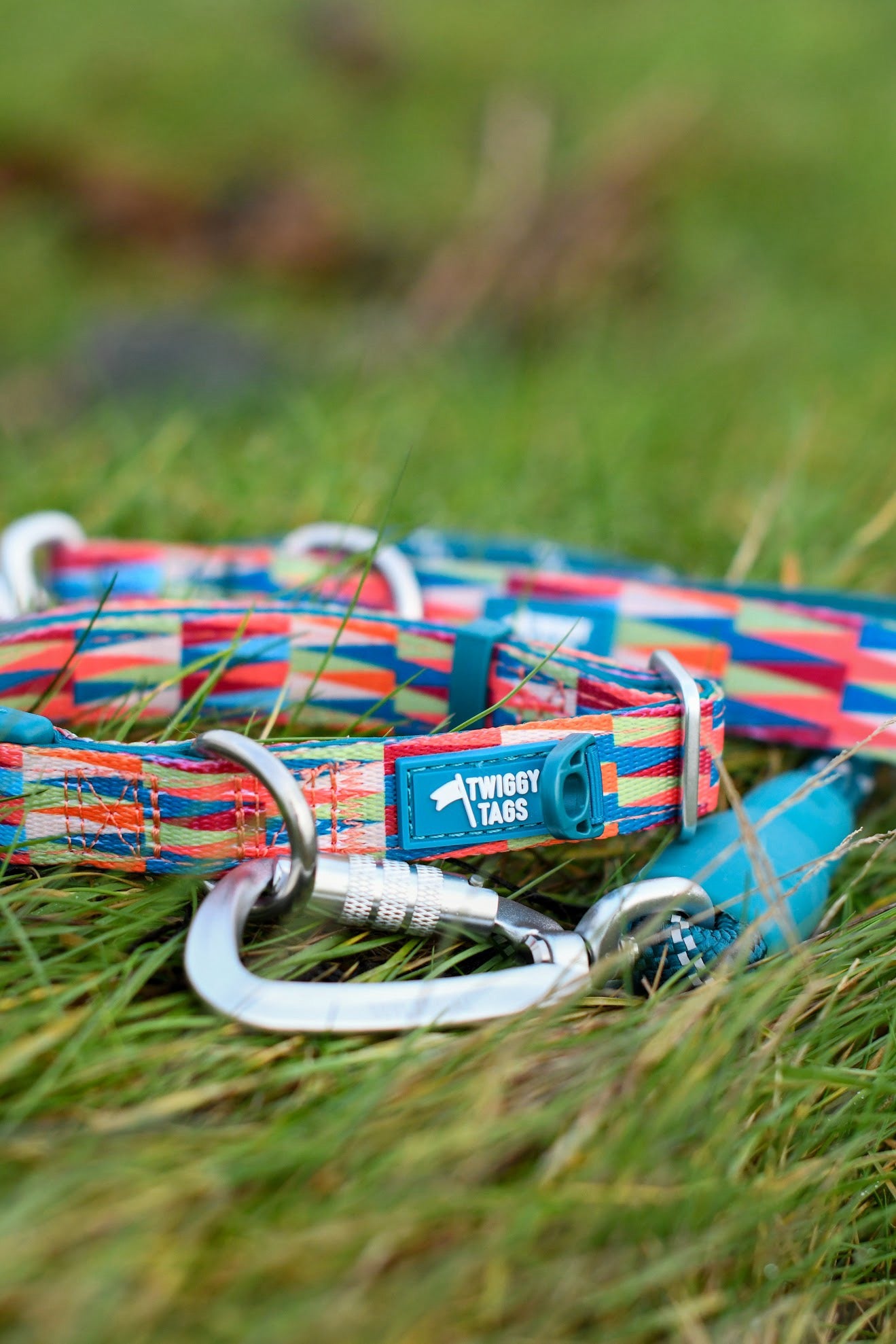 Twiggy Tags Horizon Collar - Elixir