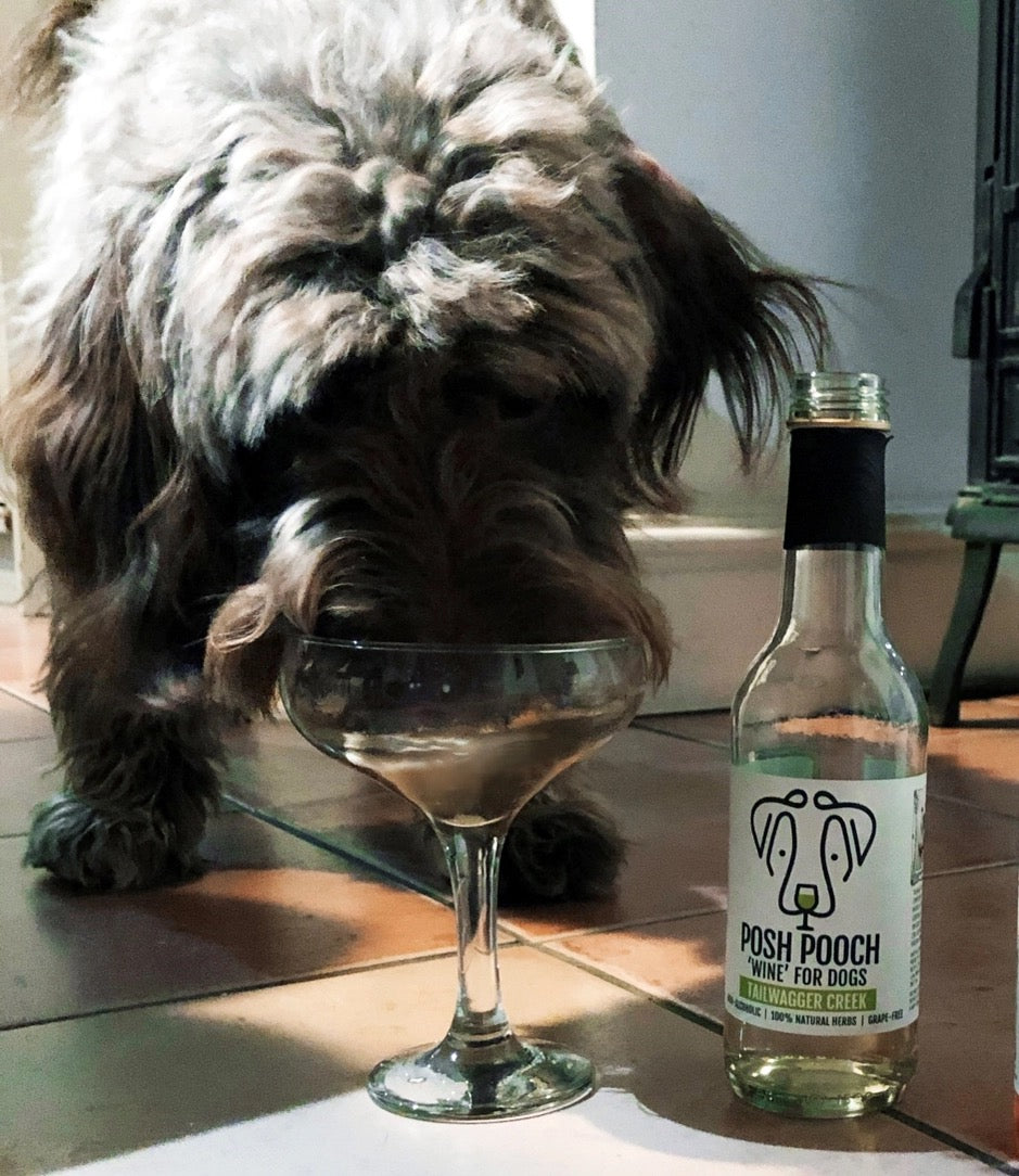 Woof&Brew Posh Pooch Dog 'wine' Treat