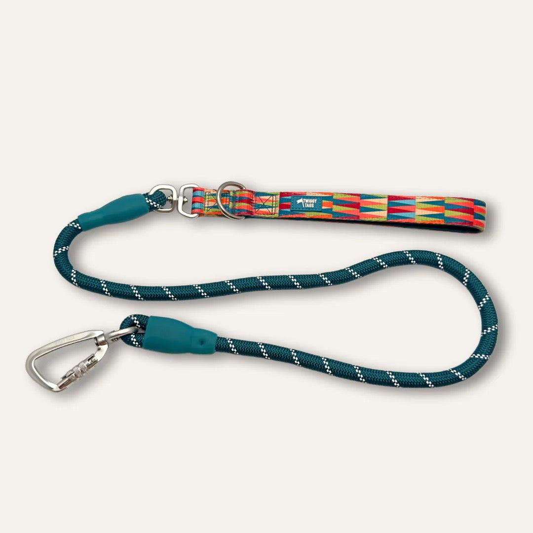 Twiggy Tags Horizon Rope Lead - Elixir