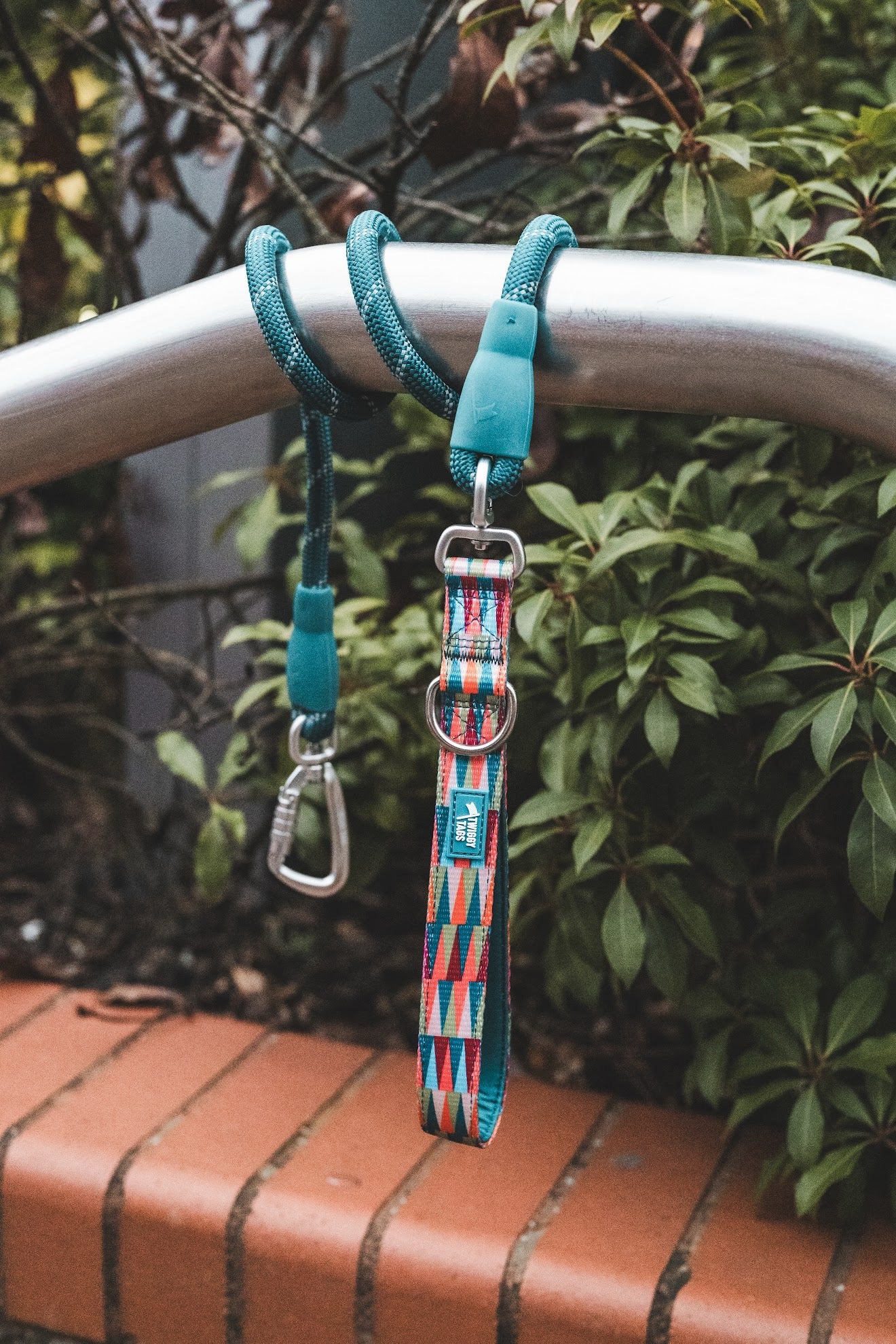 Twiggy Tags Horizon Rope Lead - Elixir