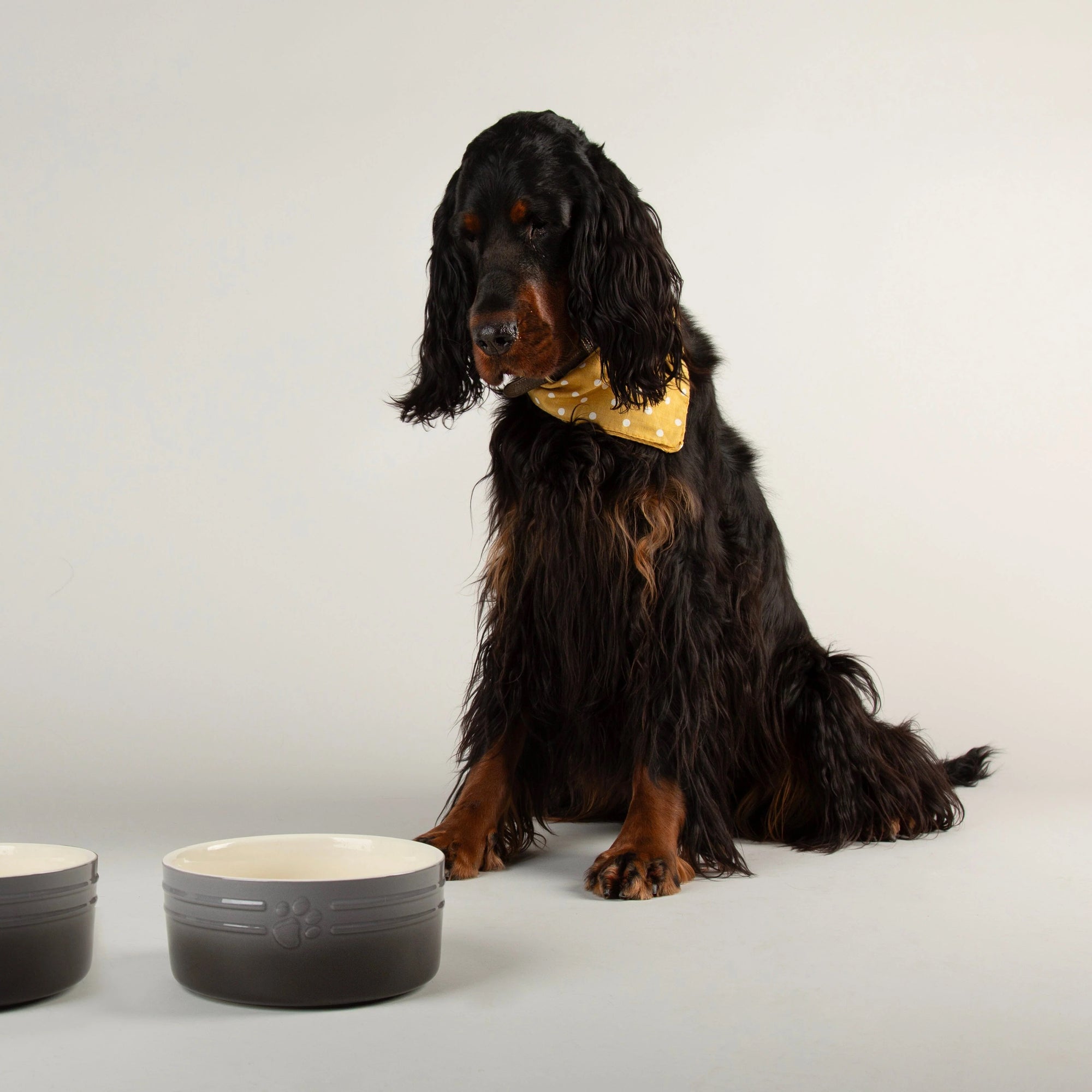 Scruffs Ombre Grey Dog Bowl 19cm