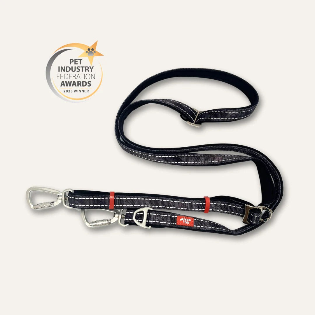 Twiggy Tags Multi-Way Leads
