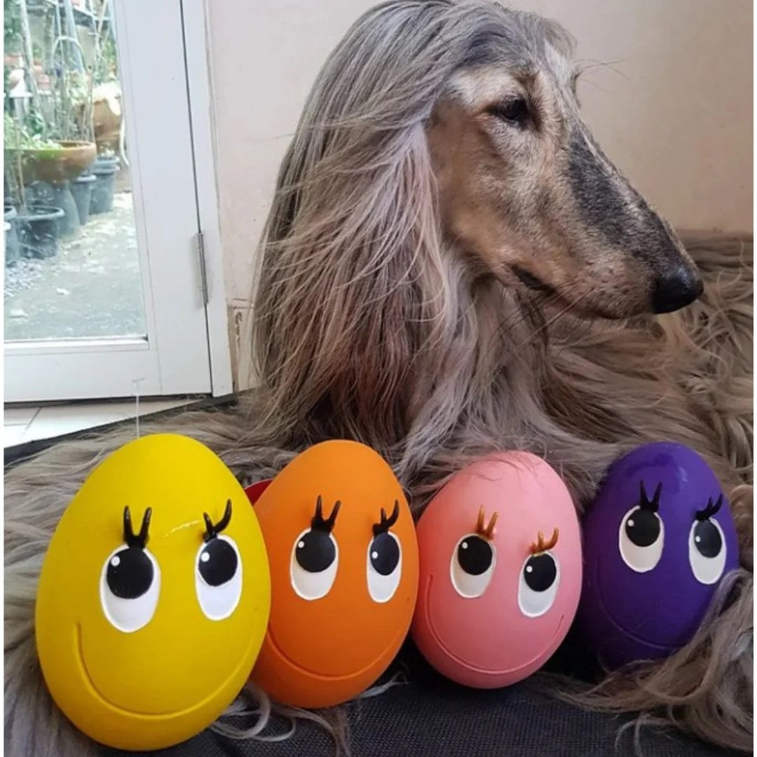 OVO Egg Range of Natural Rubber Dog Toys