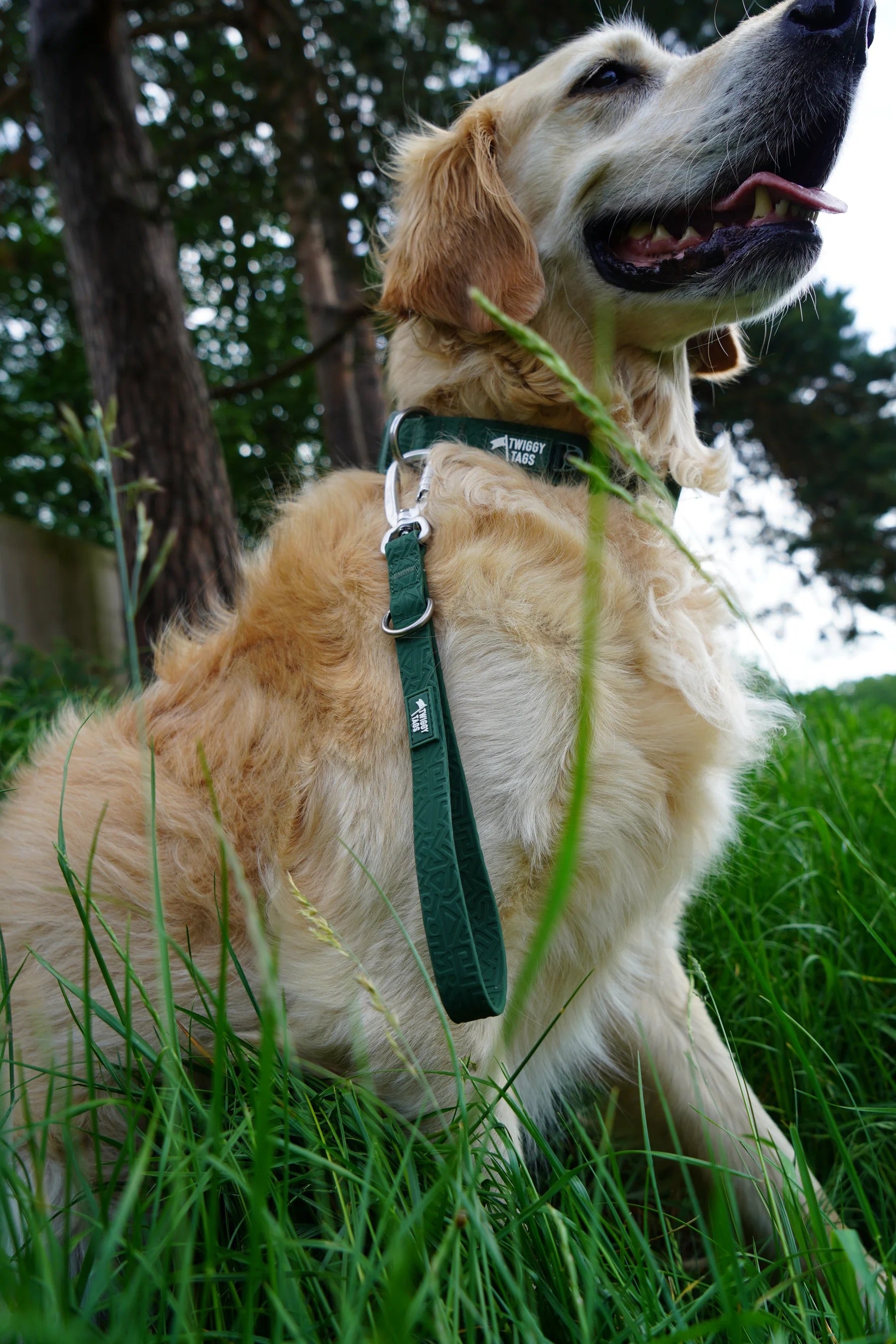 Twiggy Tags Tidal Waterproof Leads - Fern