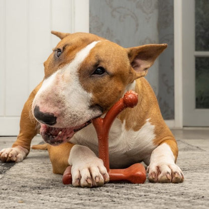 Bamboodles Bamboo + Nylon Durable Easy-grip Dog Chew