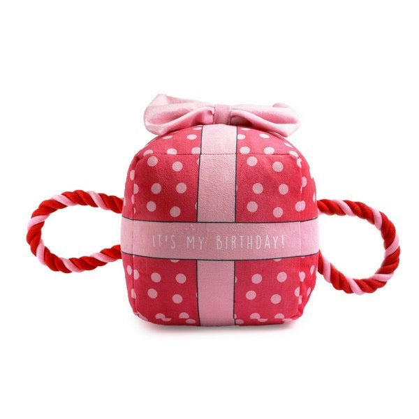 Birthday Party Time - Birthday gifts for Dogs - toy/bandana/hat/cards