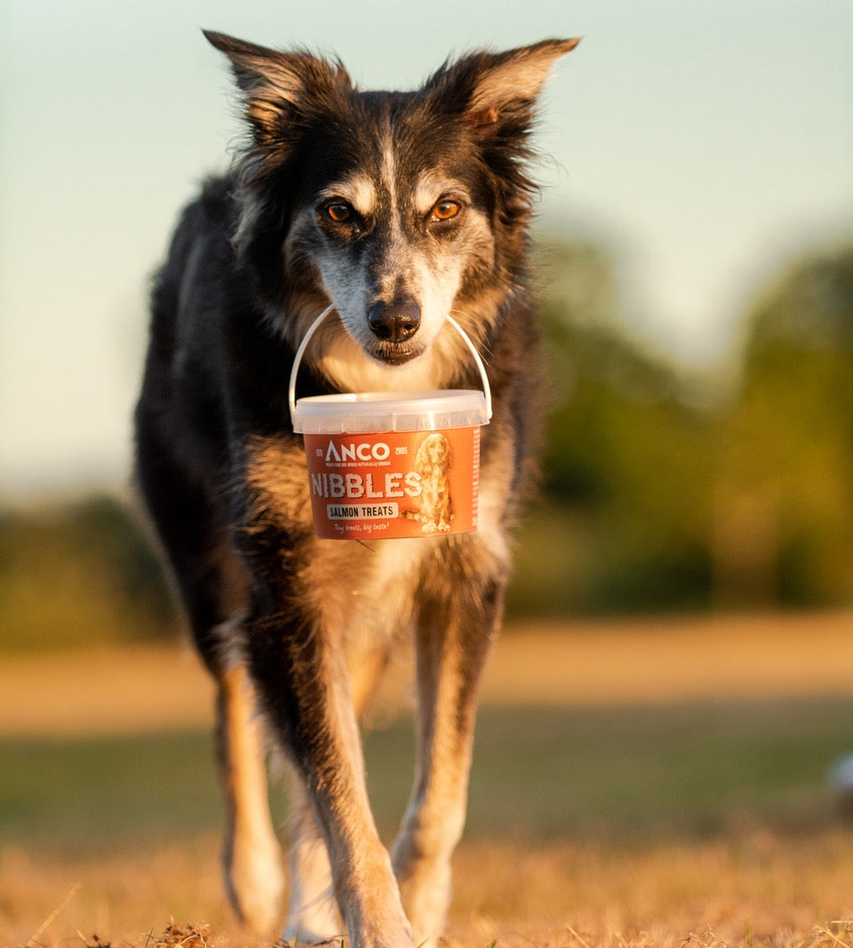 Anco Nibbles Treats 300g