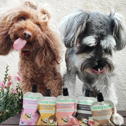 Meaty Licks Various Flavour Peanut Butter Pouches for Dogs 113g