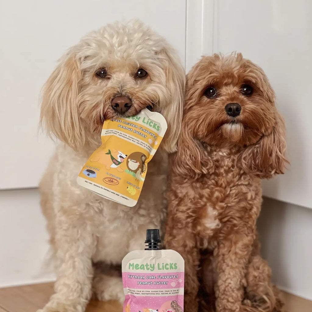 Meaty Licks Various Flavour Peanut Butter Pouches for Dogs 113g