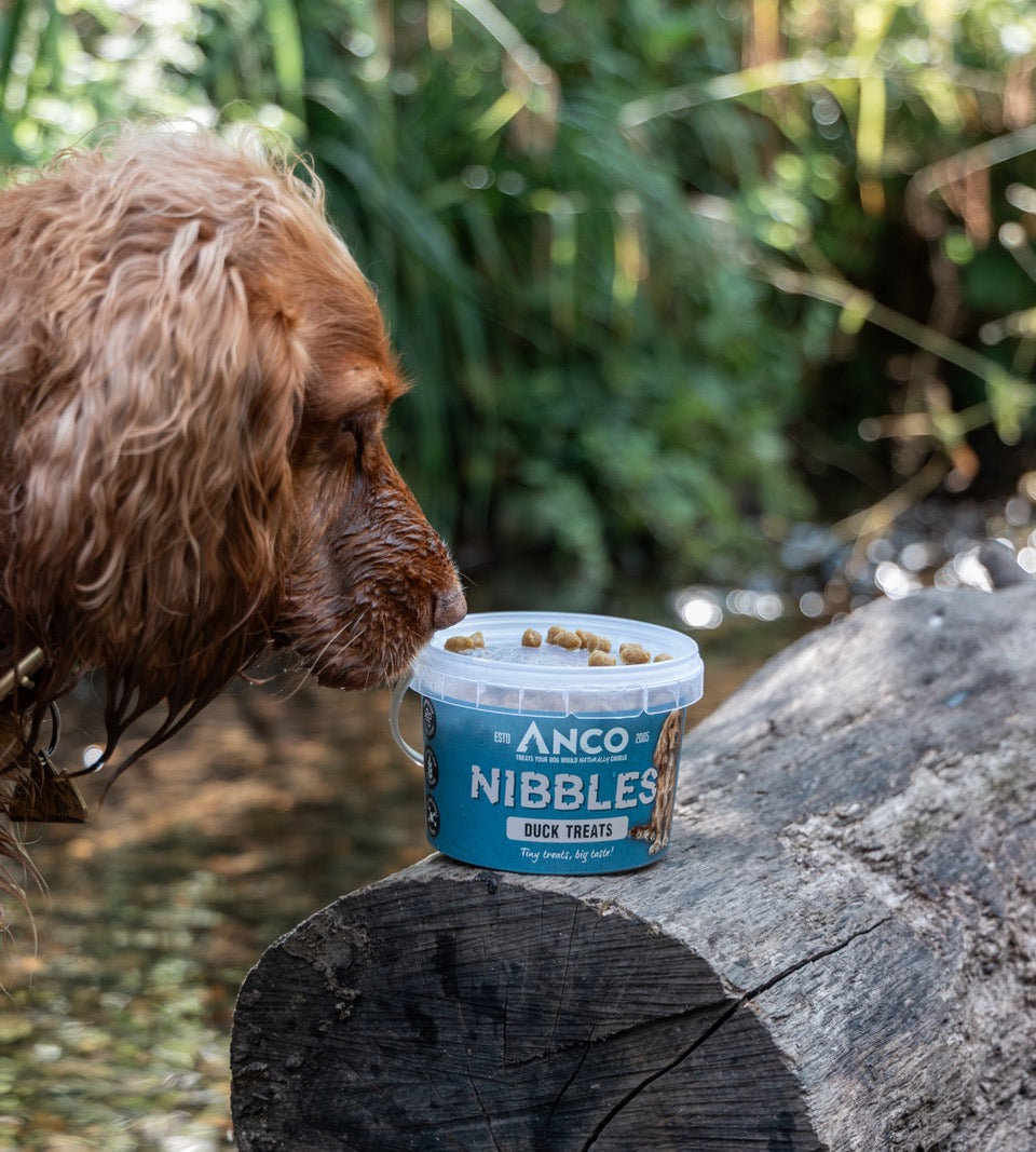 Anco Nibbles Treats 300g