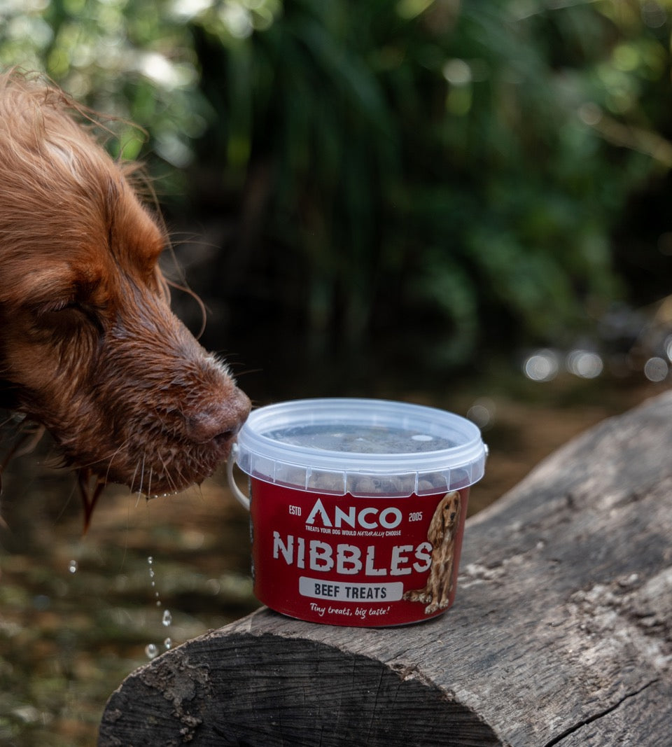 Anco Nibbles Treats 300g