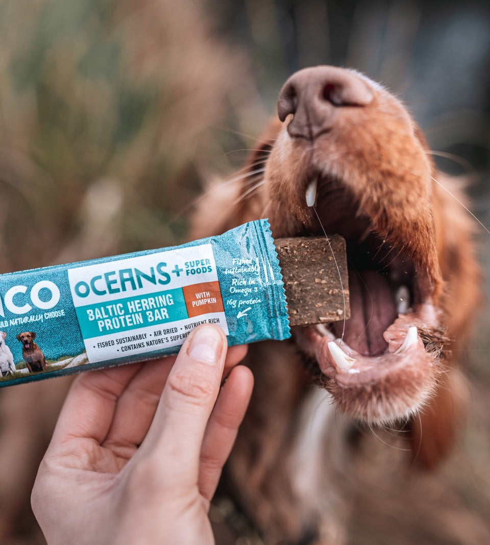 Anco Oceans+ Protein Bar 25g