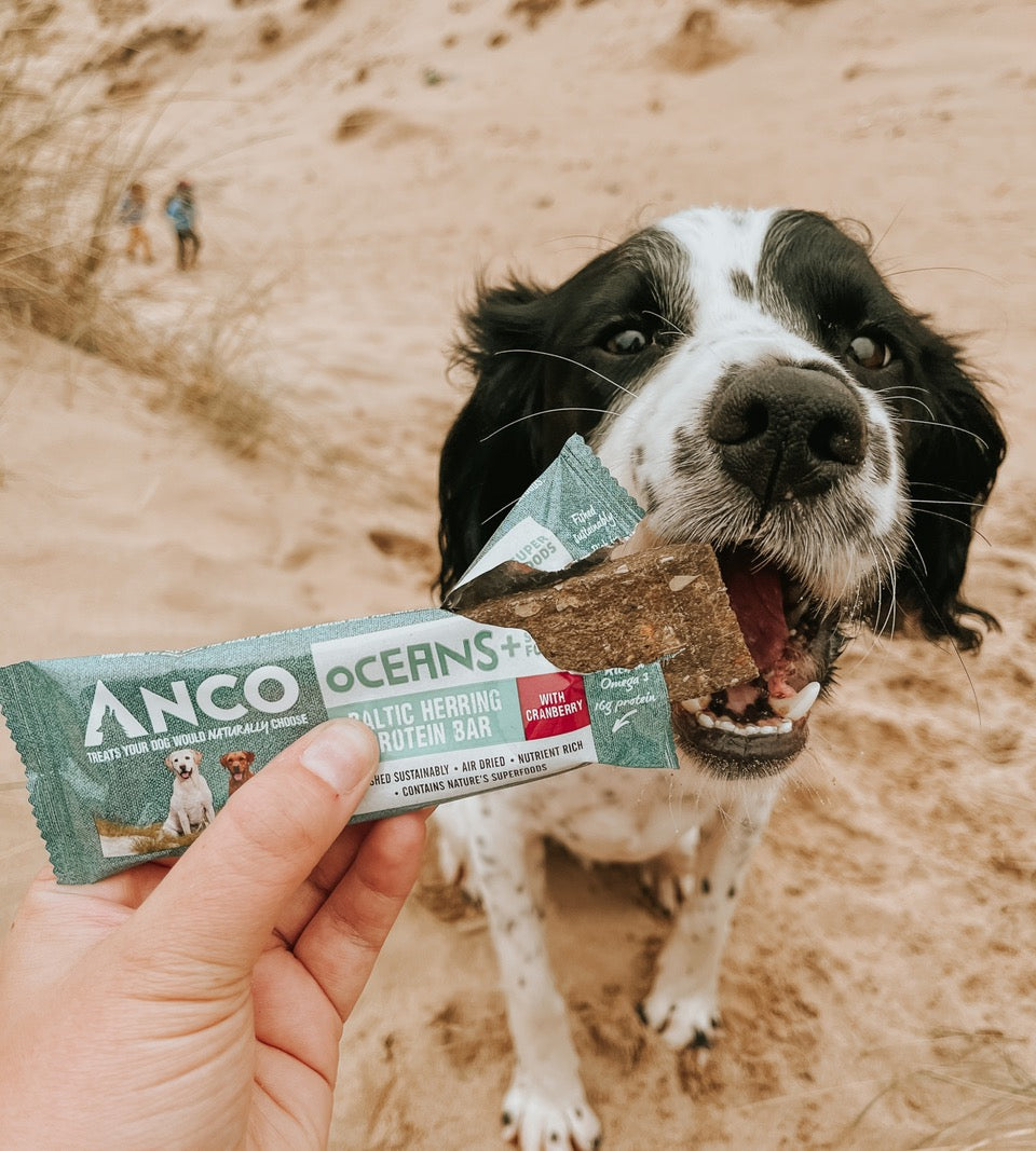 Anco Oceans+ Protein Bar 25g