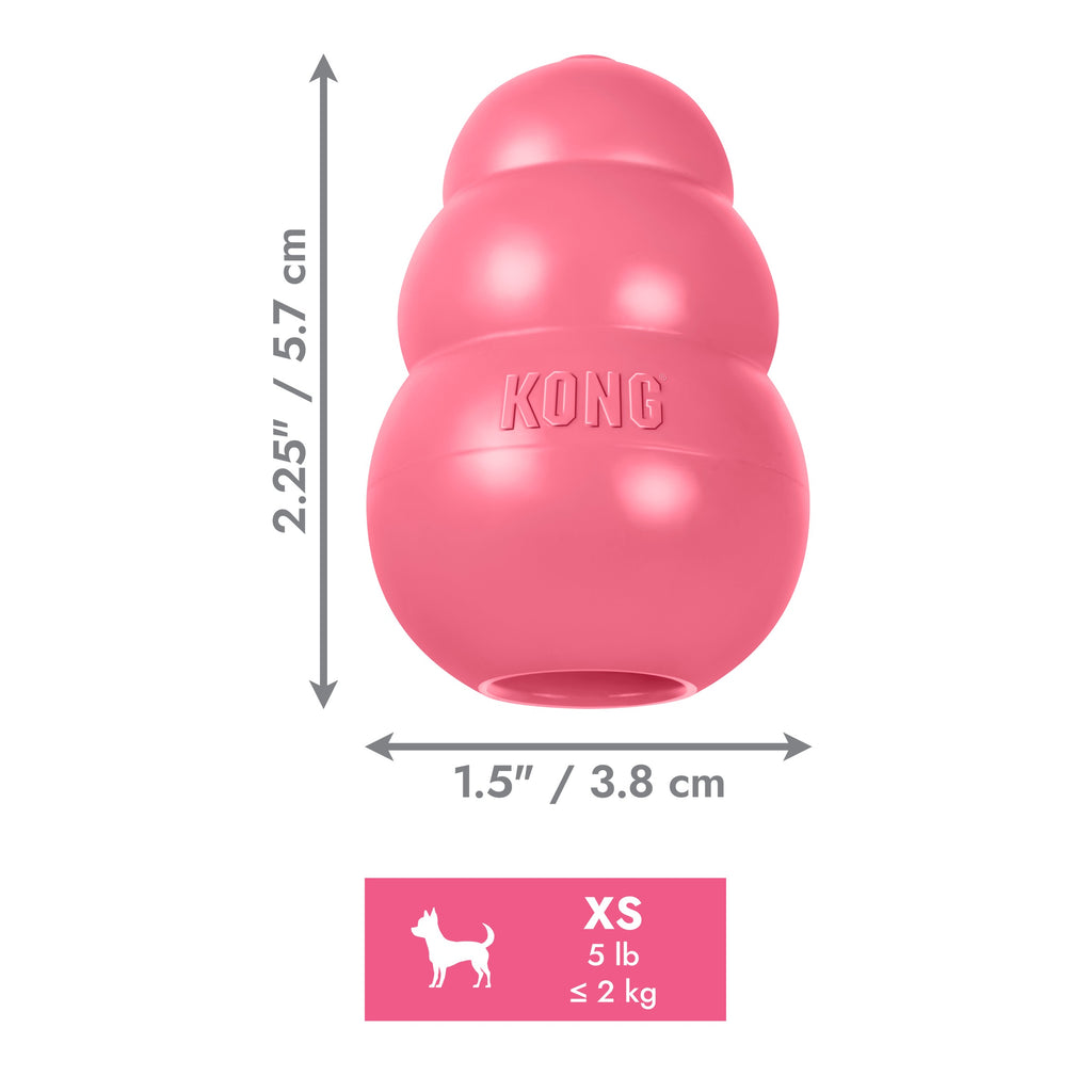 KONG Puppy