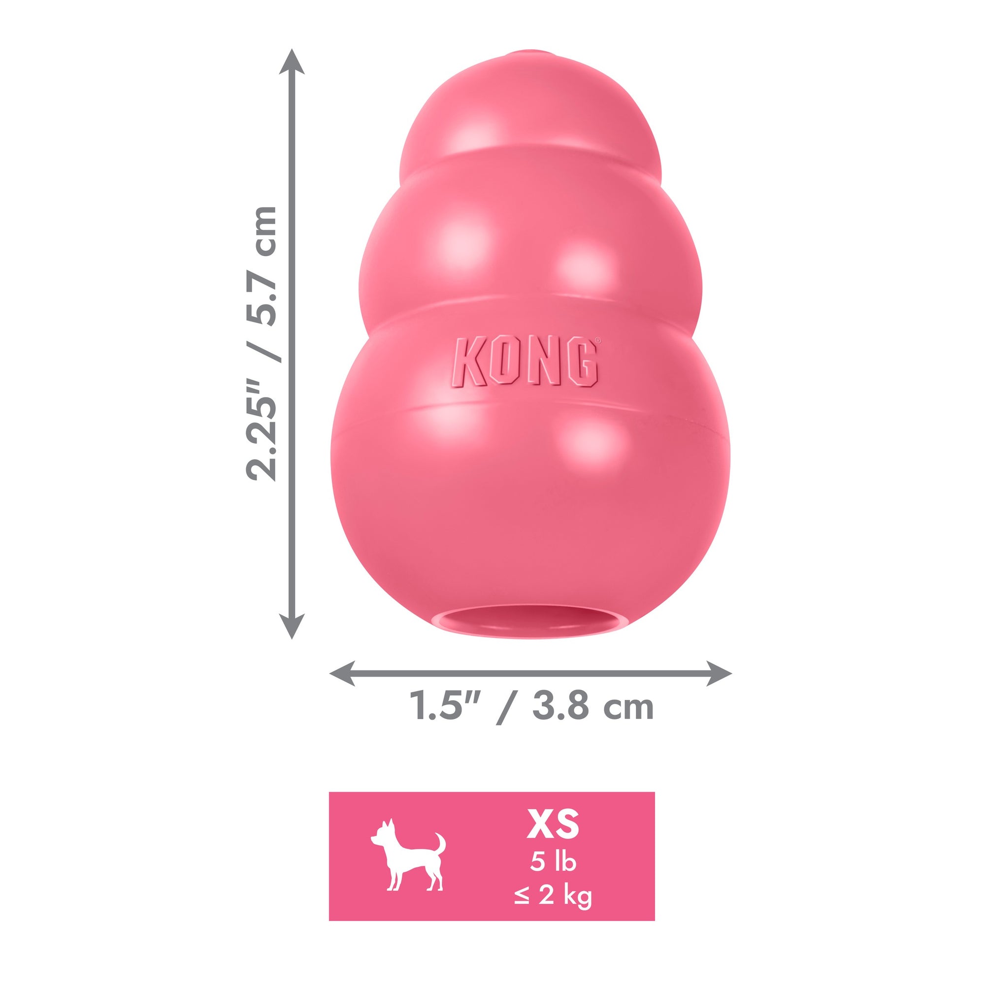 KONG Puppy